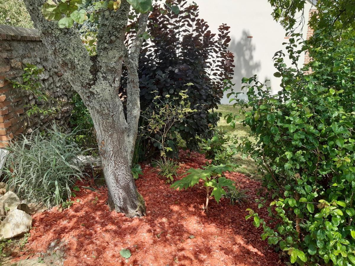 Aparthotel Tuilerie De La Cote 4* Ouzouer-Sur-Trezee Esterno foto