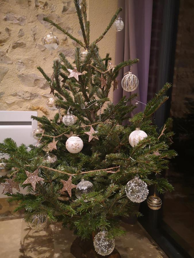 Aparthotel Tuilerie De La Cote 4* Ouzouer-Sur-Trezee Esterno foto